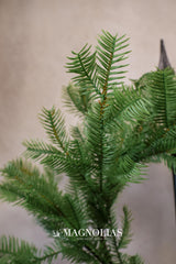 20" Winter Greens Pine Wreath