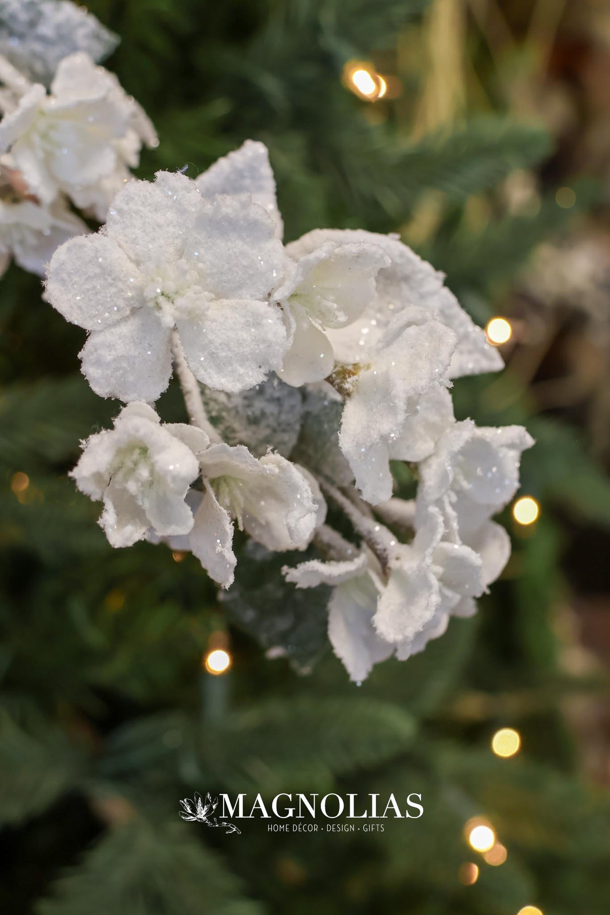 Snow Quince Blossom Spray