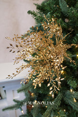 Gold Mini Boxwood Bush