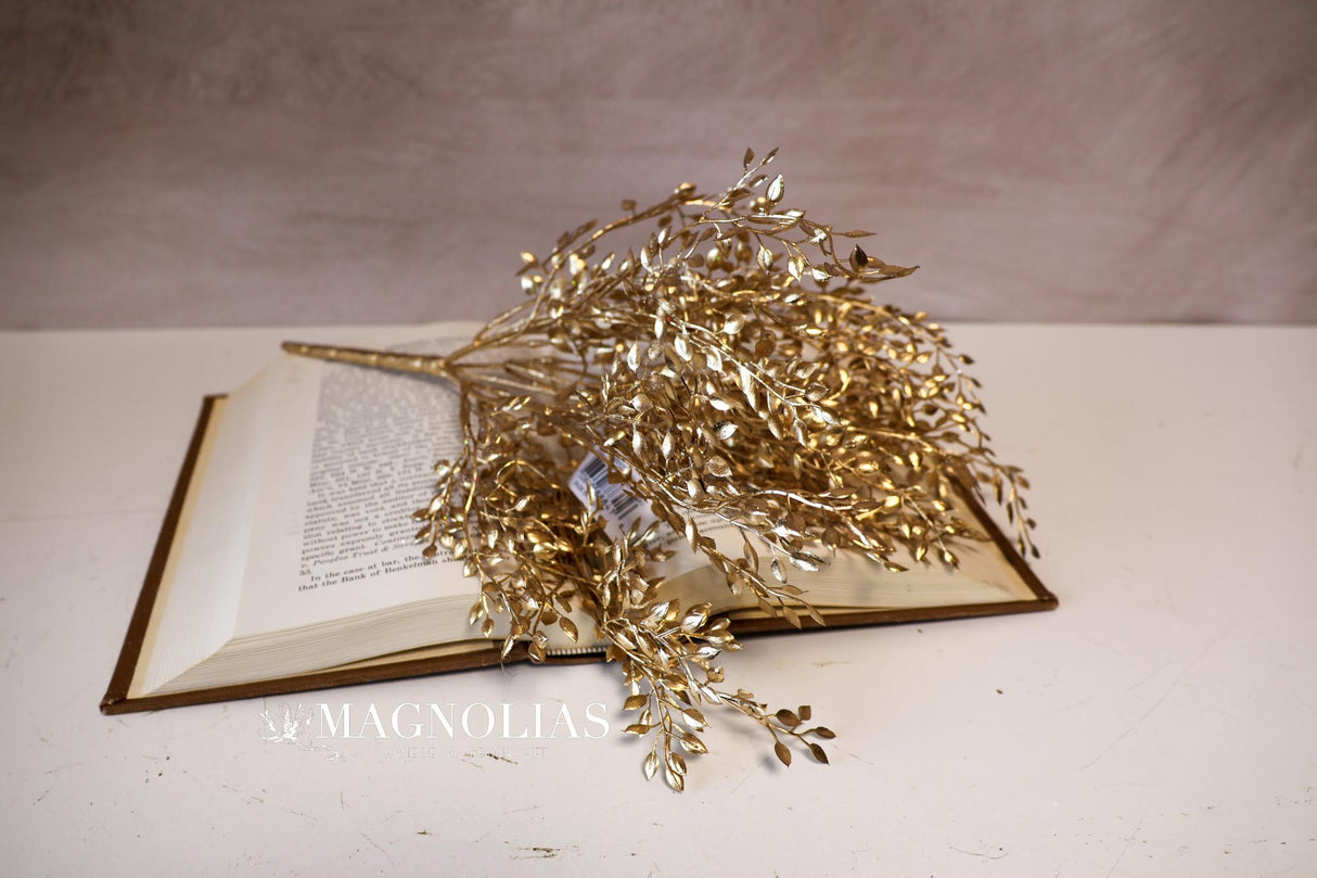 Gold Mini Boxwood Bush