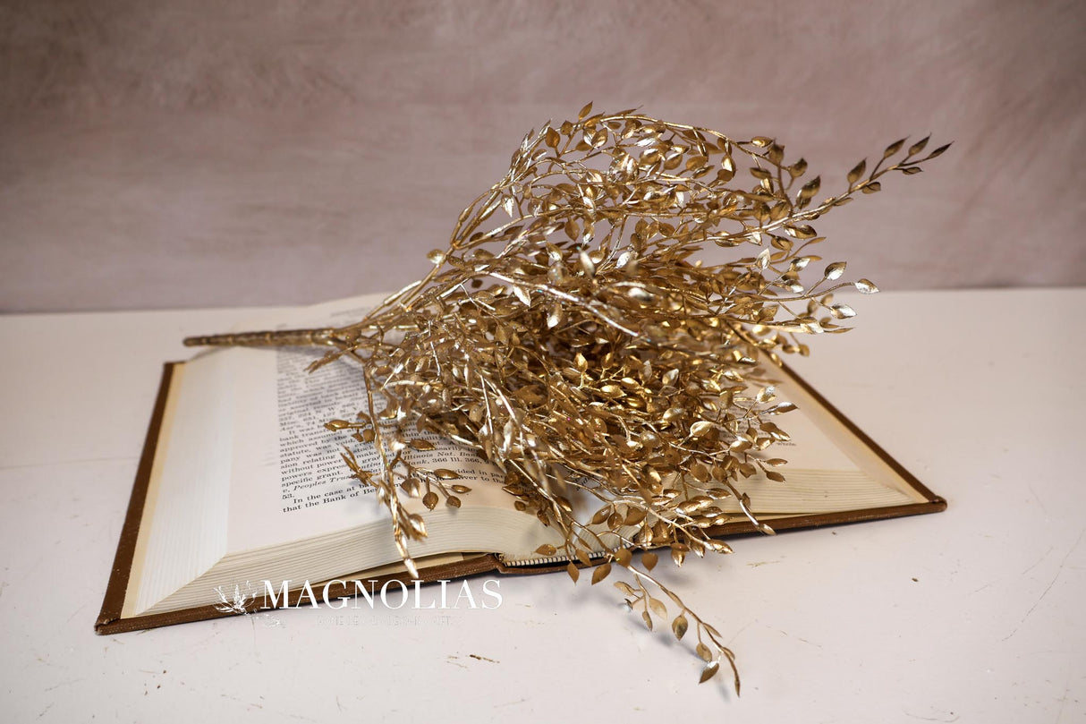 Gold Mini Boxwood Bush