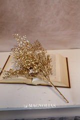 Gold Mini Boxwood Bush