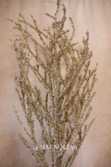 Jumbo Gold Mini Berry Bundle