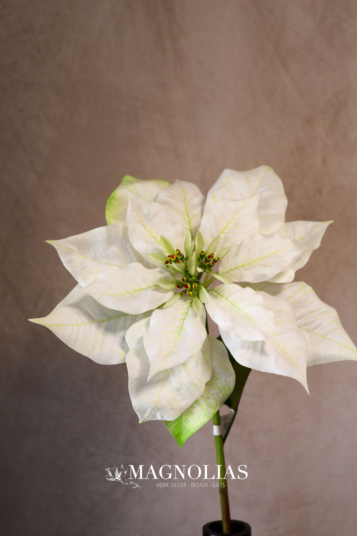 Winter White Poinsettia Spray