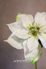 Winter White Poinsettia Spray