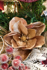 Velvet Mocha Magnolia With Gold Edge