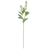 Cream Blue Bonnet Spray