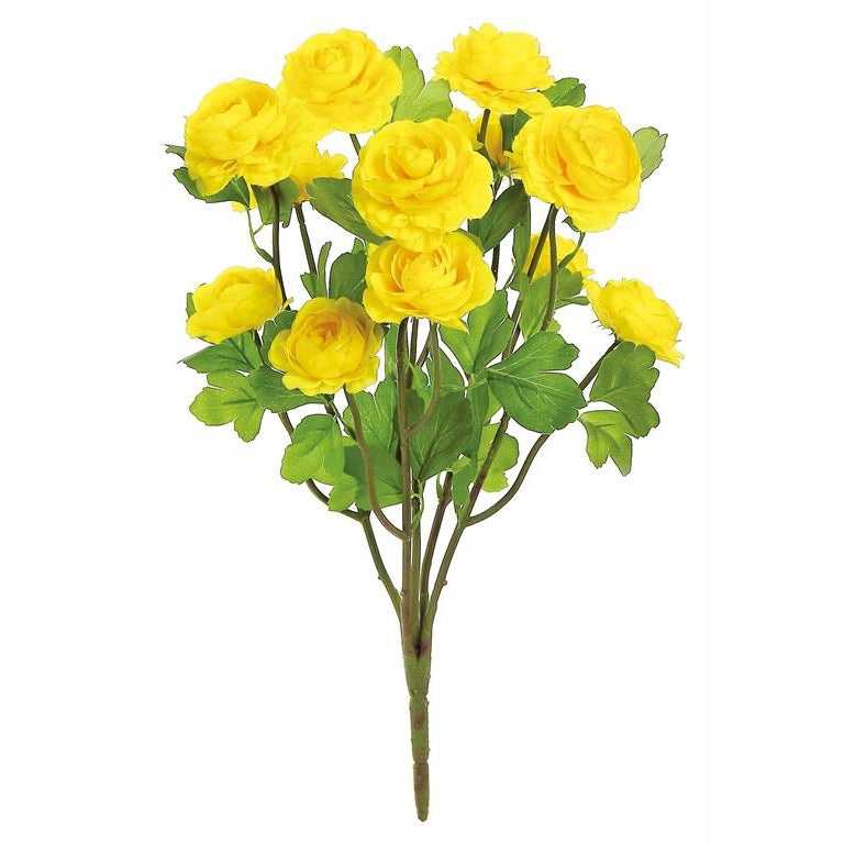 Gold Ranunculus Bush