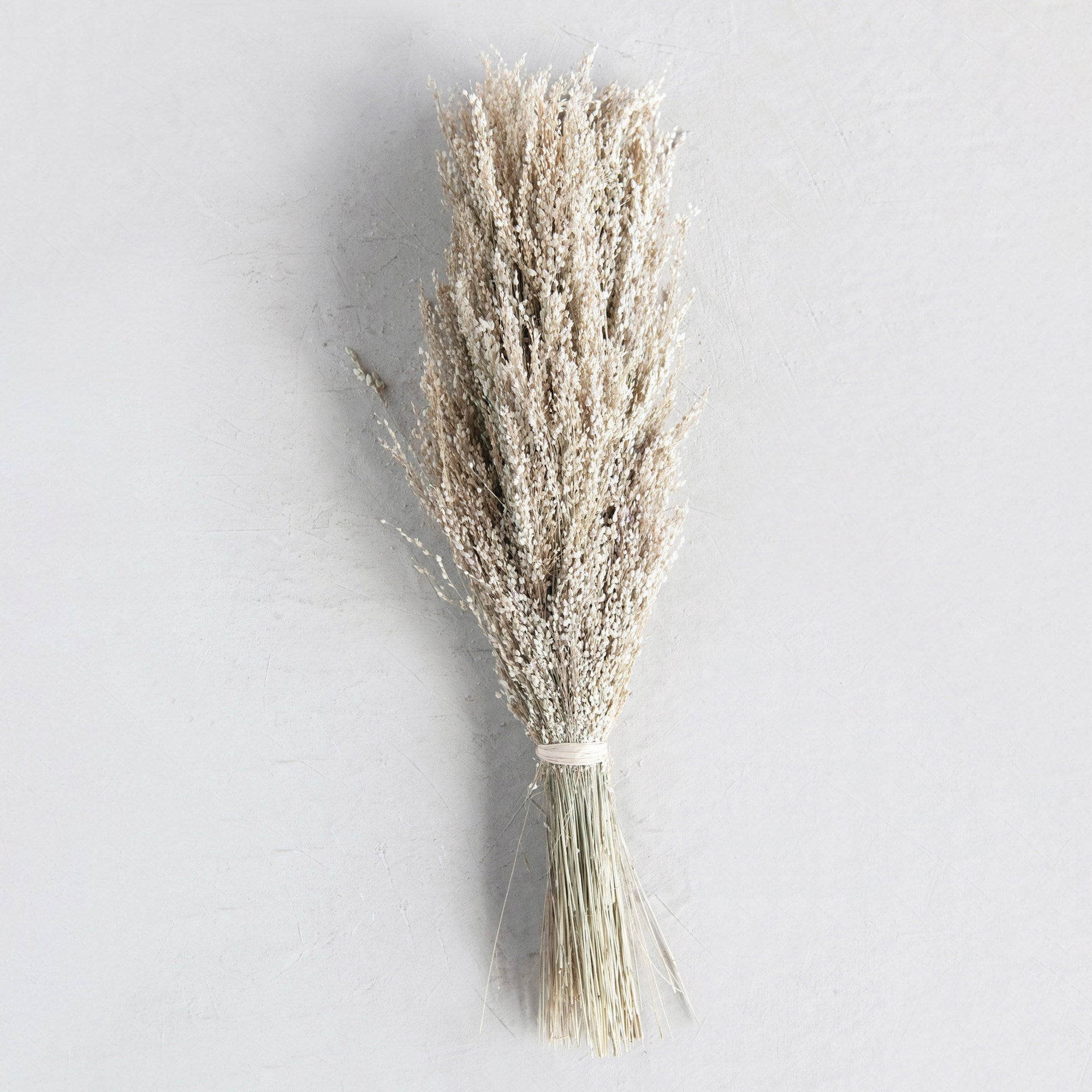 Dried Natural Star Grass Bunch - Thumbnail 4