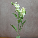 Cream Blue Bonnet Spray