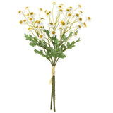White Mini Daisy Bundle