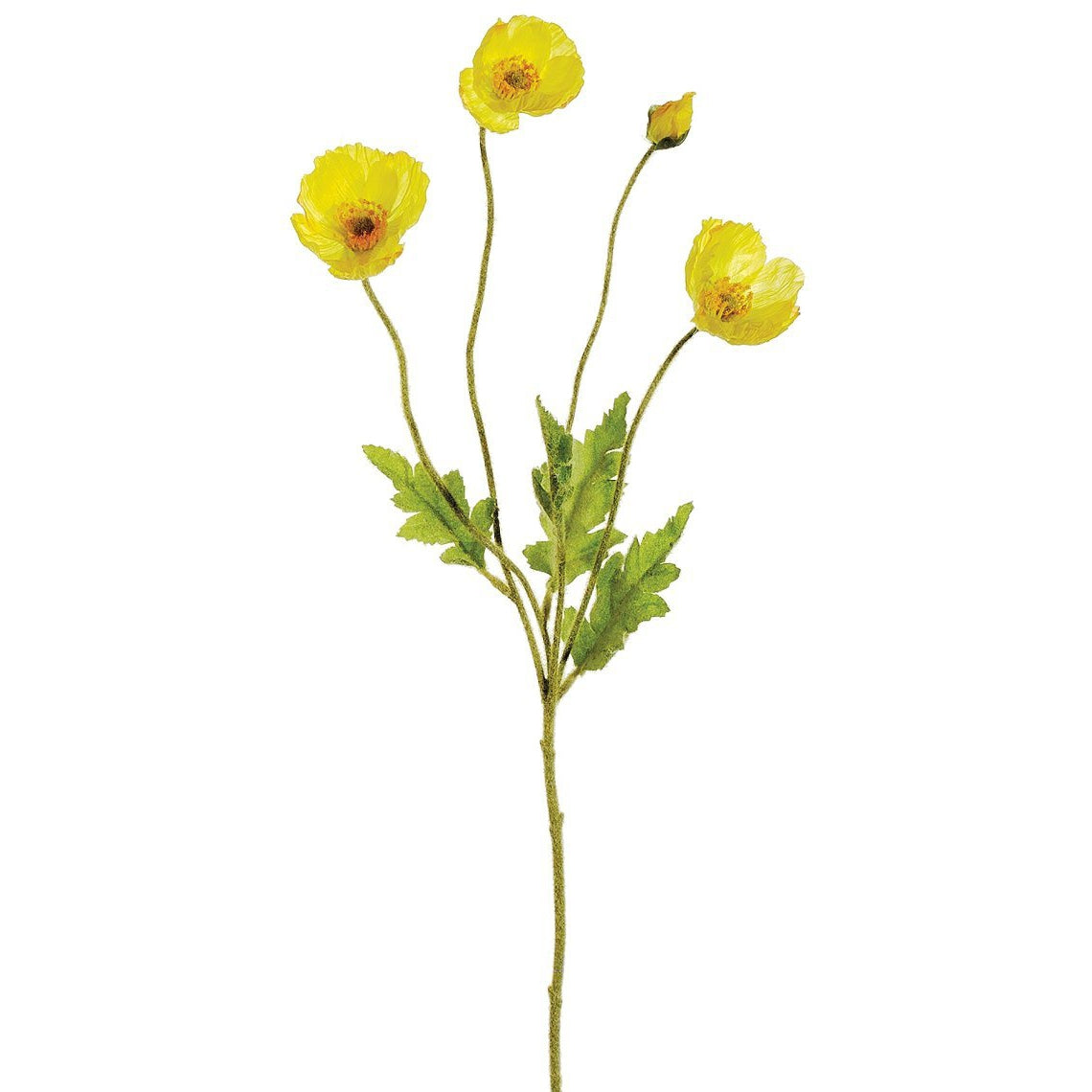 Yellow Poppy Spray