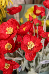 Red Poppy Spray