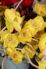 Yellow Poppy Spray