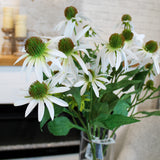 White Echinacea Spray