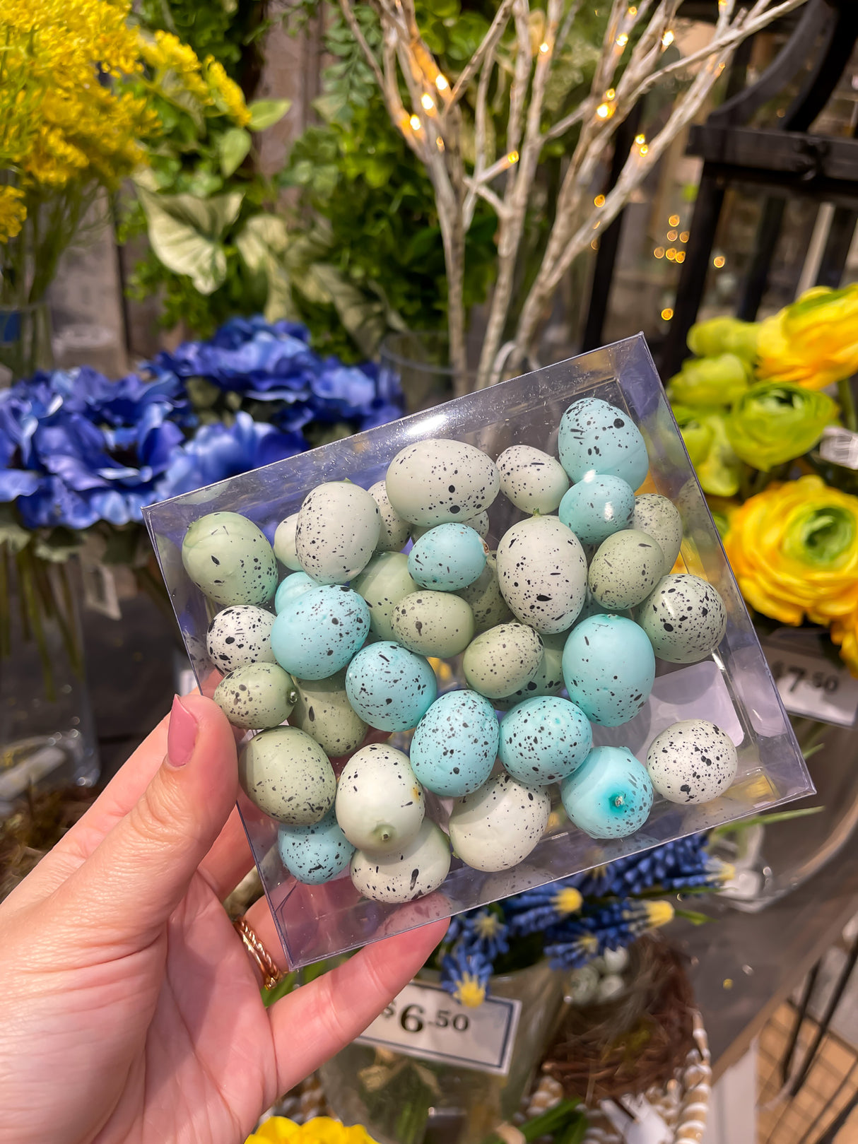 Blue & Aqua Eggs Box Set