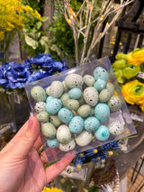 Blue & Aqua Eggs Box Set