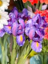 Purple Iris Spray