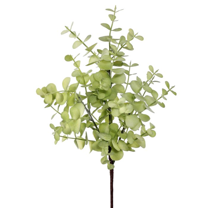 Green Spring Eucalyptus Pick
