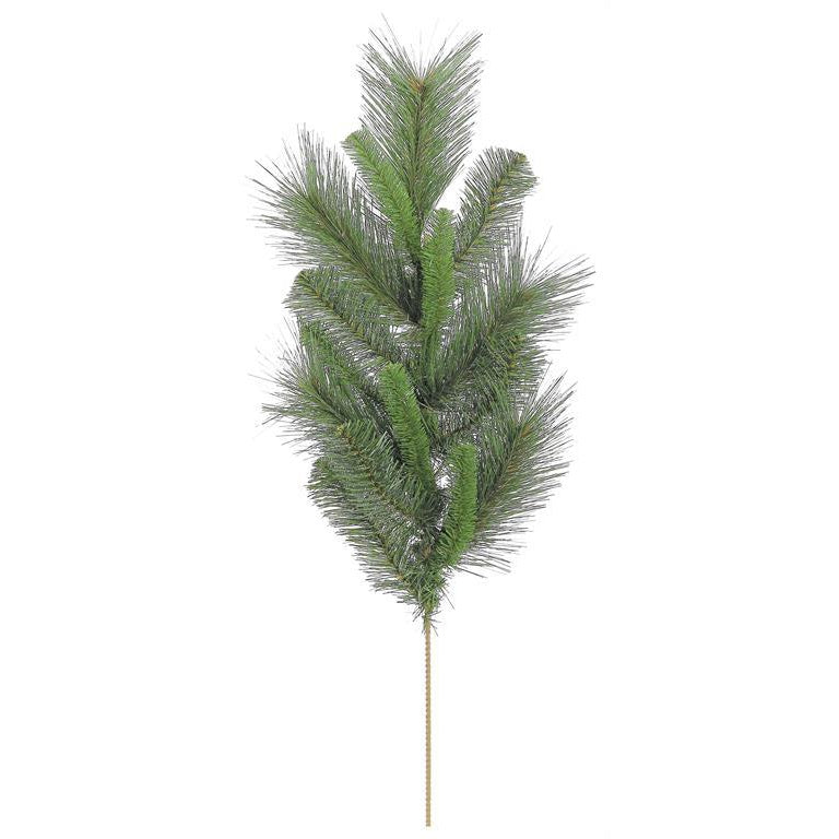 Tall Himalayan Pine Spray