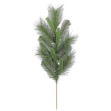 Tall Himalayan Pine Spray