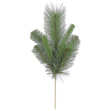 Short Himalayan Pine Pick