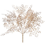 Gold Mini Boxwood Bush