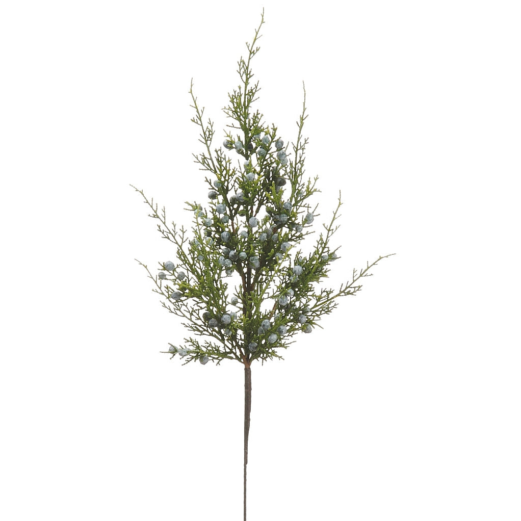 Fresh Look Juniper Berry Spray