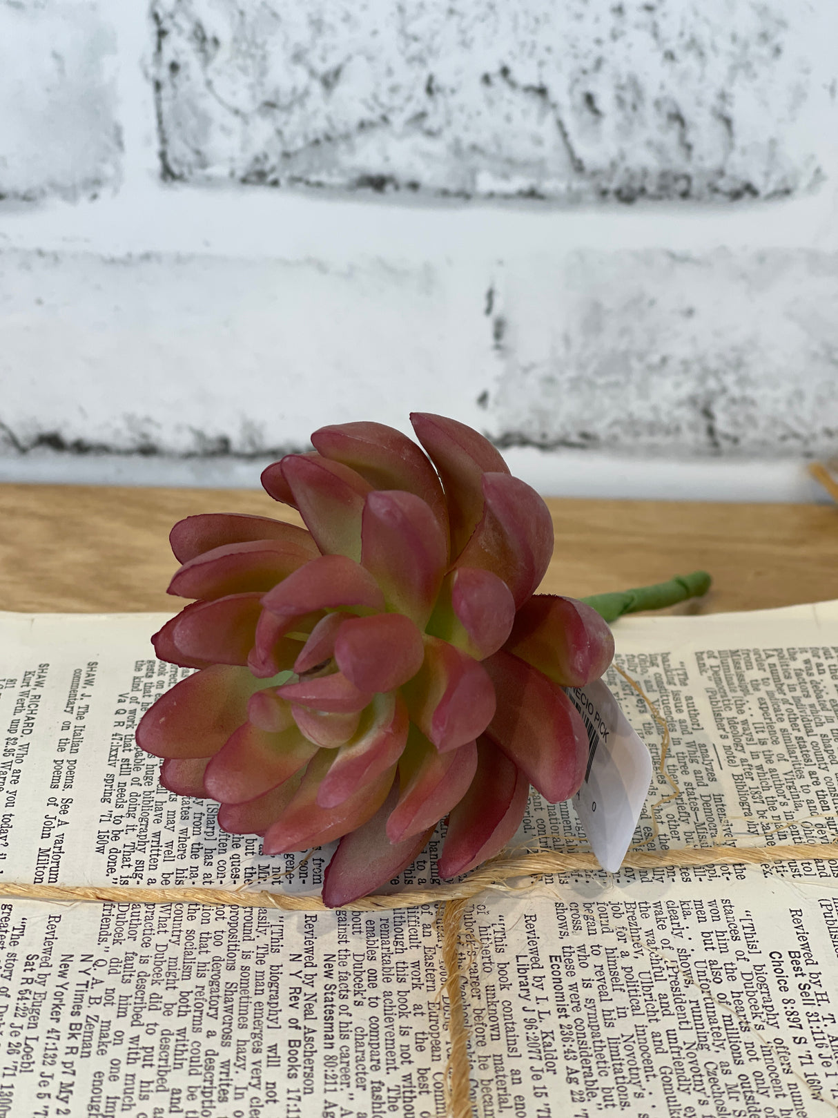 Coral Real Touch Senecio Pick