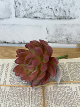 Coral Real Touch Senecio Pick