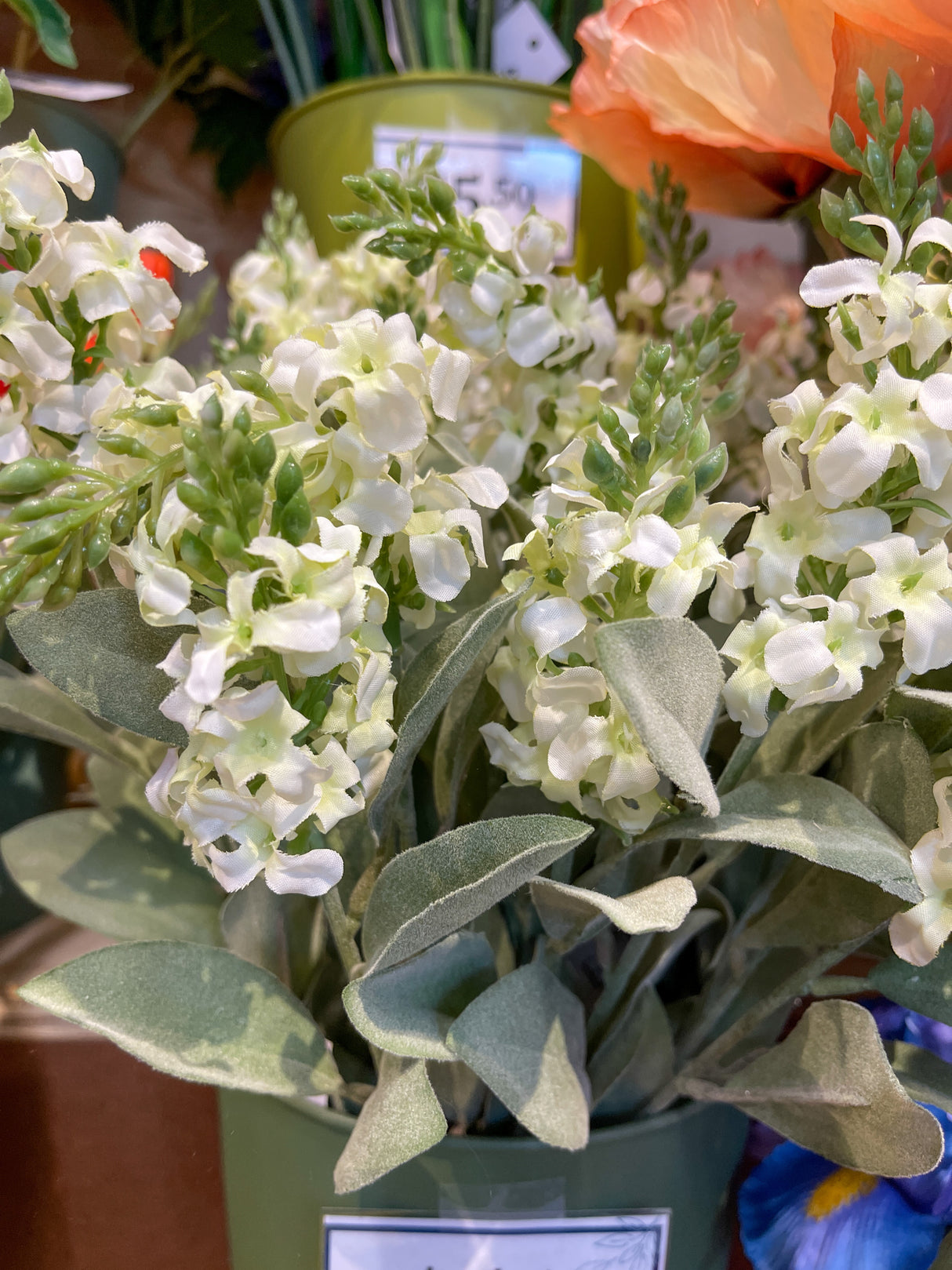 Cream Blue Bonnet Spray