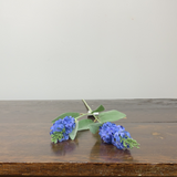 Royal Blue Bonnet Spray