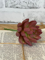 Coral Real Touch Senecio Pick