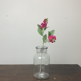 Fuchsia Blue Bonnet Spray