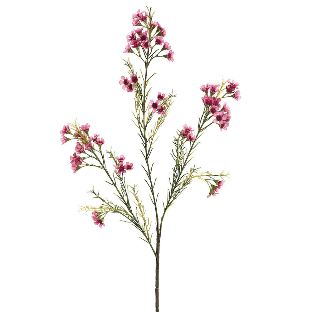 Mauve Waxflower Spray